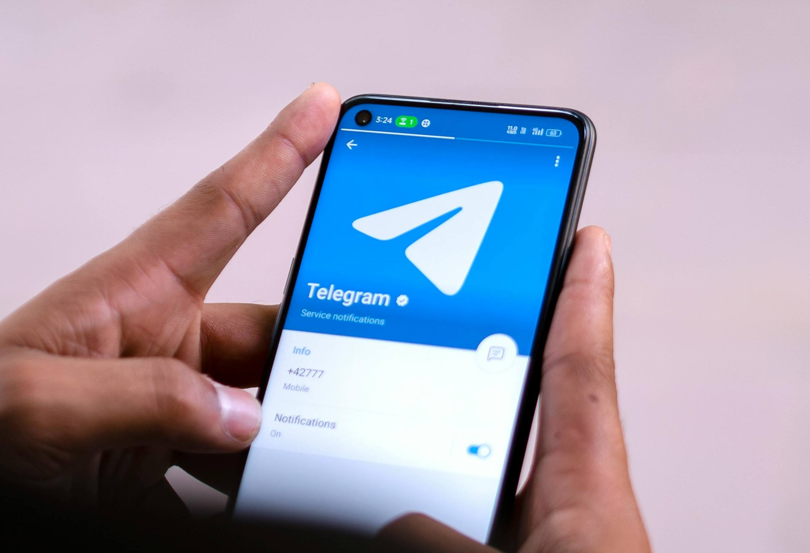 “Одноразові“ повідомлення та пауза: у Telegram з'явилися нові корисні функції