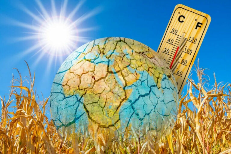 Вчені зафіксували температурний рекорд у 2023 році та попередили про новий: “Це страшний час“ - today.ua