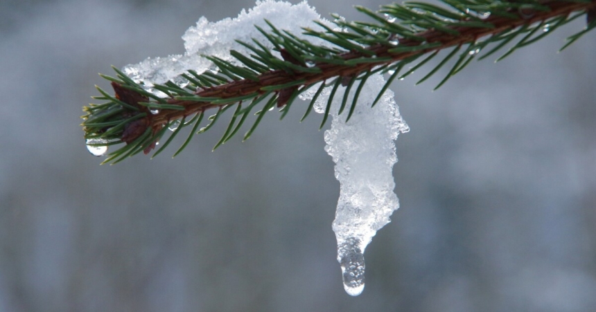 Cиноптики предупреждают о резкой смене погоды: после морозов в Украине будет 10 градусов тепла