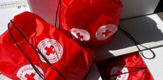 Безкоштовні продуктові набори для кожного члена сім'ї: як отримати допомогу від Червоного Хреста - today.ua