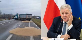В Польше извинились за рассыпанное на границе зерно из Украины: “Акт отчаяния“ - today.ua