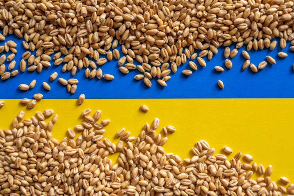 Україна планує вдвічі збільшити експорт сільгосппродукції