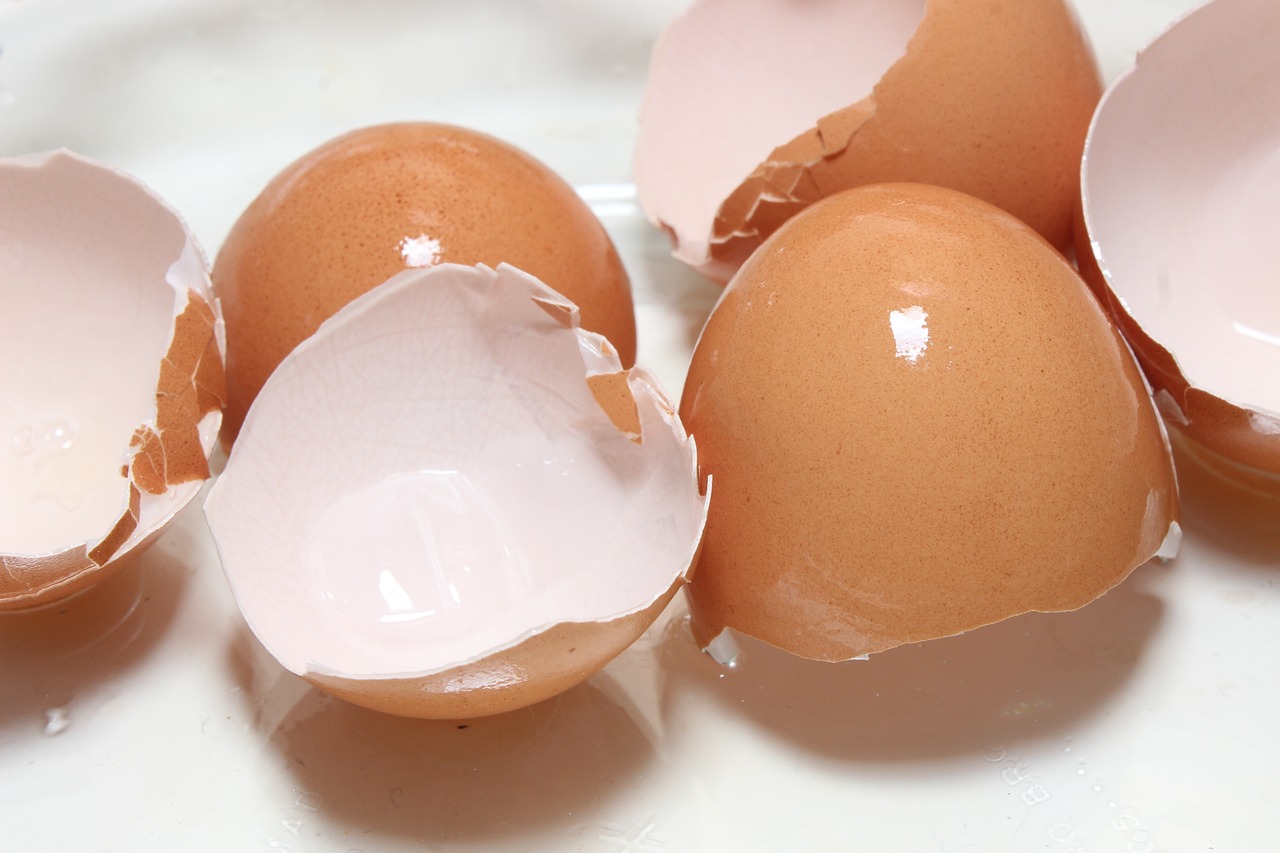4 причини не викидати шкаралупу від яєць: може стати в нагоді в побуті