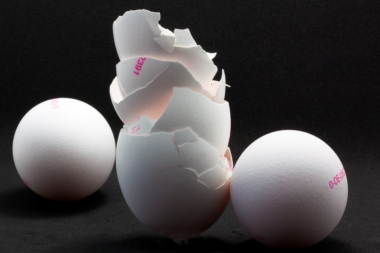 4 причини не викидати шкаралупу від яєць: може стати в нагоді в побуті