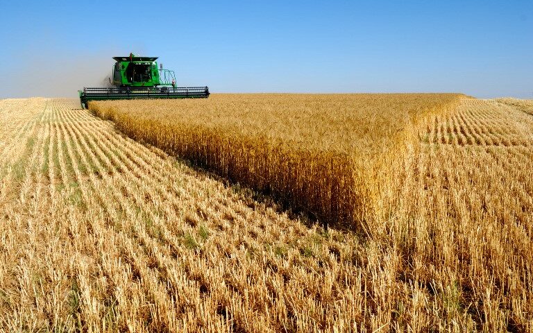 Украина планирует вдвое увеличить экспорт сельхозпродукции - today.ua