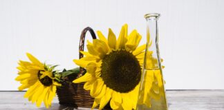 Корисна заміна соняшникової олії: три варіанти, які підходять для смаження та випічки - today.ua