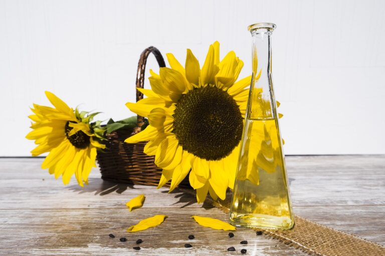 Корисна заміна соняшникової олії: три варіанти, які підходять для смаження та випічки - today.ua