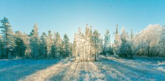 Плюсова температура зміниться морозом: синоптики розповіли про погоду наприкінці лютого - today.ua