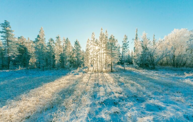 Плюсовая температура сменится морозом: синоптики рассказали о погоде в конце февраля - today.ua