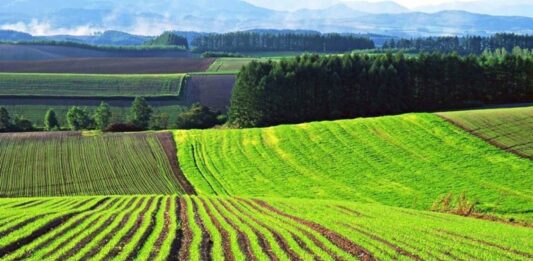 Українці ризикують втратити земельні ділянки - today.ua