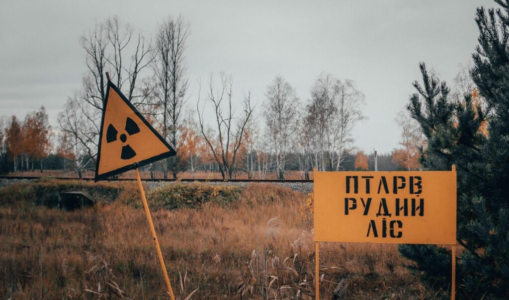 На рынок может попасть радиоактивная древесина: в Чернобыльской зоне кто-то активно вырезает деревья