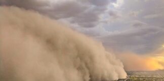 На Україну насувається потужна пилова буря із Сахари: очікується різке погіршення якості повітря (Фото) - today.ua