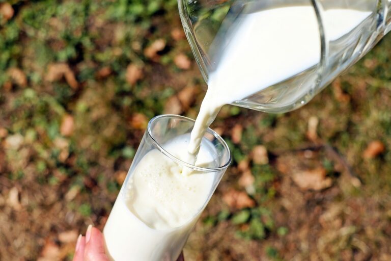 Вредное или полезное: диетолог рассказала о том, стоит ли людям пить молоко - today.ua