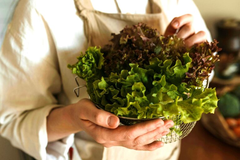 Лікарі назвали найкорисніші листові овочі, які потрібно їсти щодня - today.ua