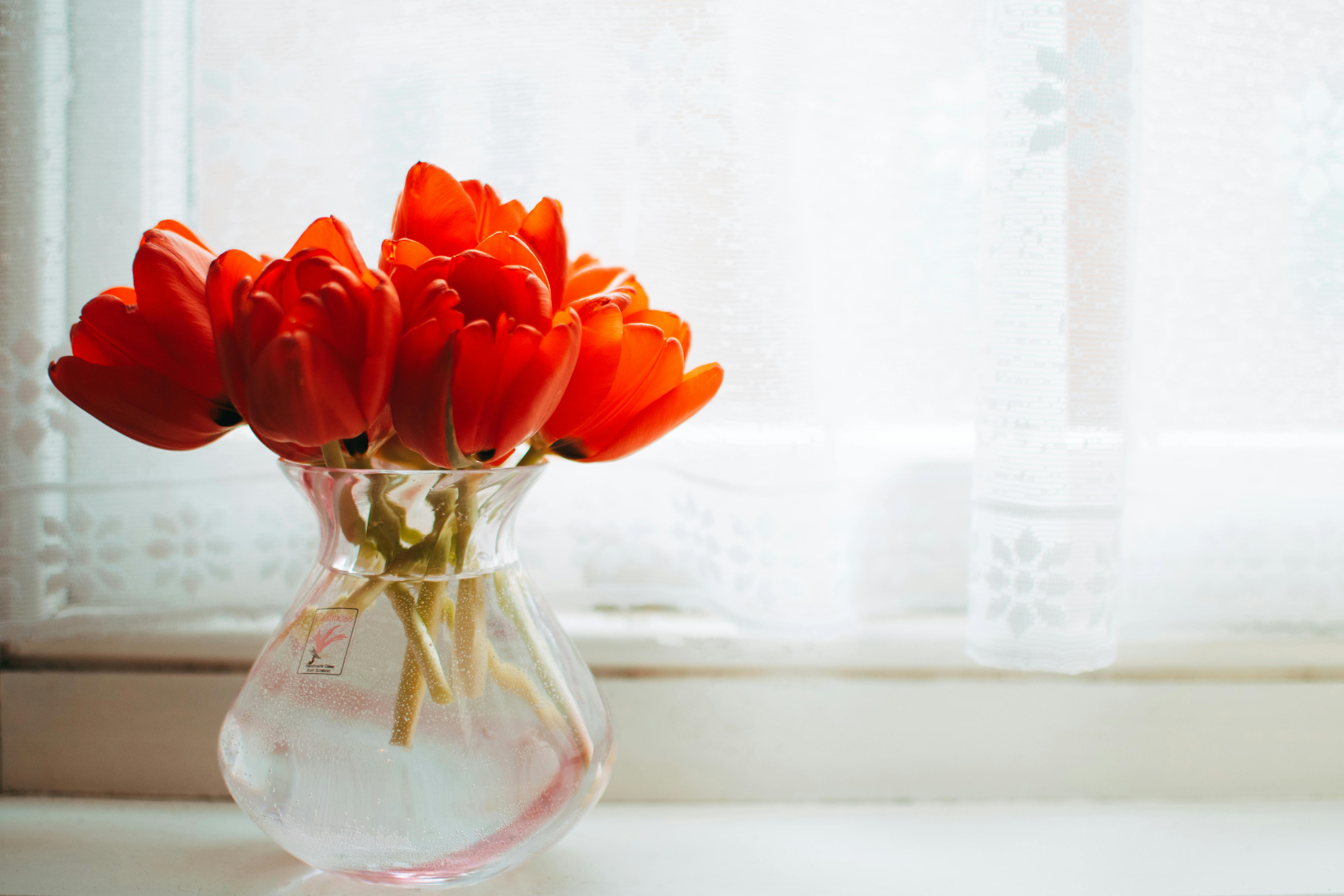 Подаренный букет простоит очень долго: как сохранить свежесть тюльпанов в вазе