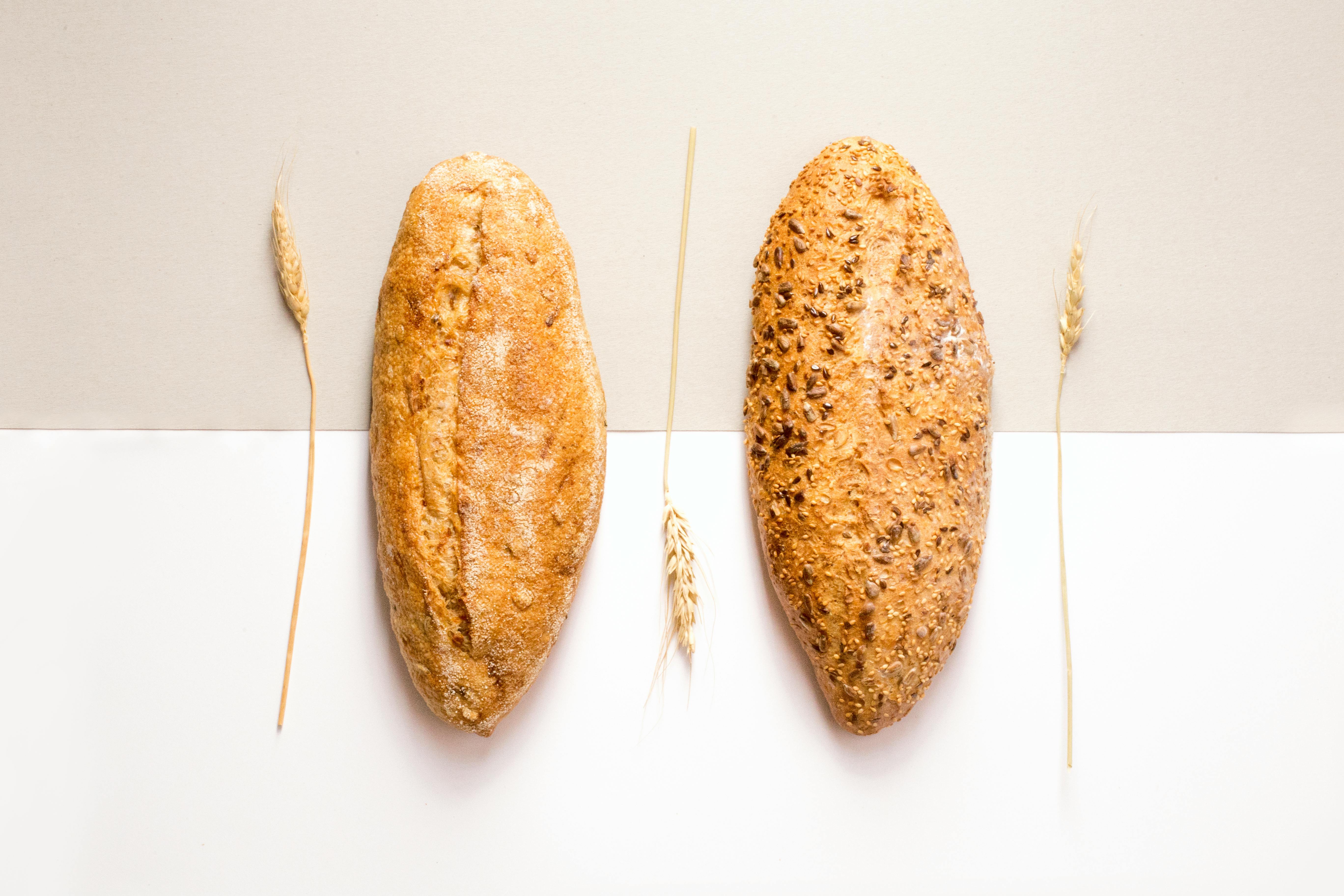 Названо найкорисніший для здоров'я хліб: зміцнює організм і не шкодить фігурі