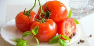 Чим удобрити розсаду томатів, щоб отримати ранній та багатий урожай - today.ua