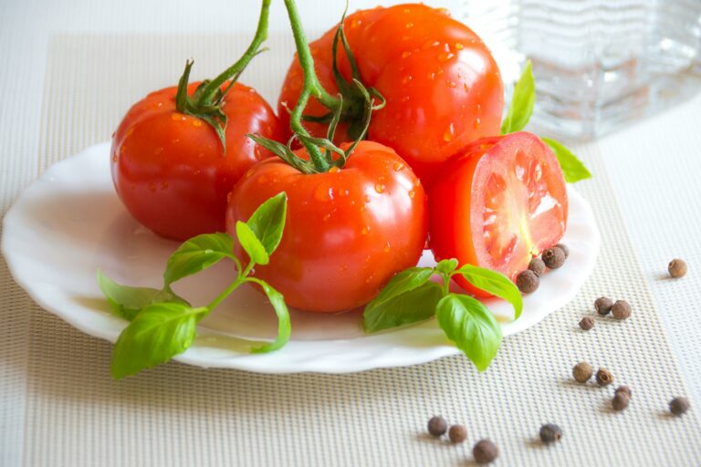 Чем удобрить рассаду томатов, чтобы получить ранний и богатый урожай - today.ua