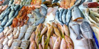 Названо найбруднішу рибу у світі: її потрібно виключити з раціону - today.ua