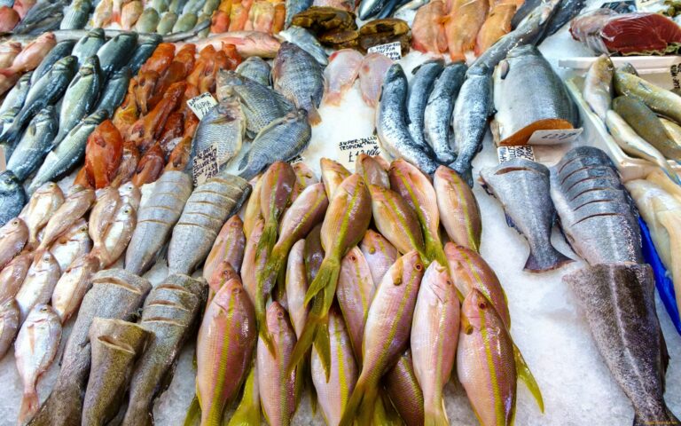 Названо найбруднішу рибу у світі: її потрібно виключити з раціону - today.ua