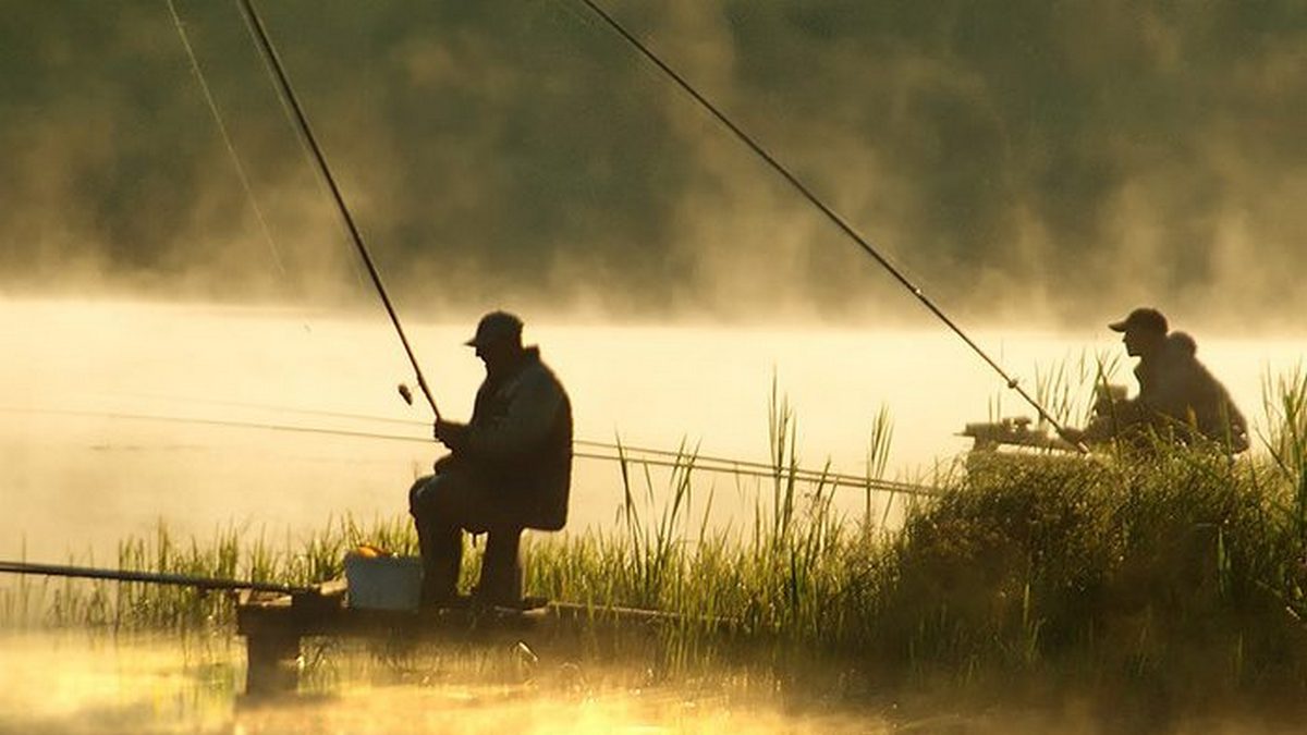 В Украине начинает действовать запрет на вылов рыбы