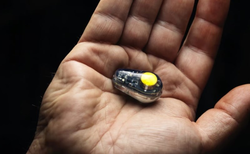 На Kickstarter можна замовити новий рибальський гаджет для збільшення клювань