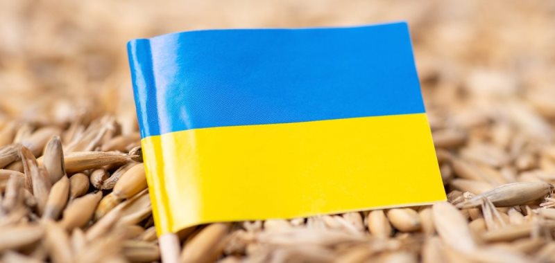 Евросоюз может в любой момент прекратить импорт украинских сельхозтоваров