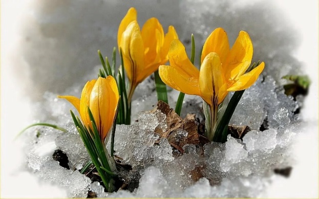 В Украину возвращается весна - будет потепление: прогноз погоды от Наталки Диденко
