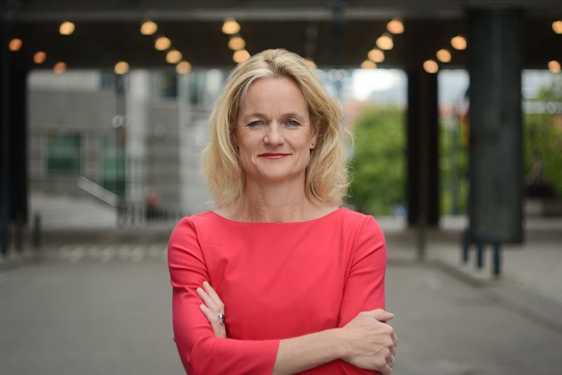 Євродепутатка закликала не вносити до Ради божевільні законопроєкти