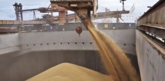 Санкції США заважають Туреччині торгувати з Росією краденим українським зерном - today.ua