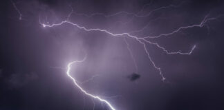 Погодный апокалипсис в Запорожье: ветер крушит деревья, срывает крыши и рвет провода (фото, видео) - today.ua