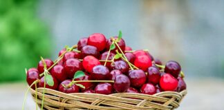 Натуральное удобрение для вишни: чем подкормить дерево в период цветения  - today.ua