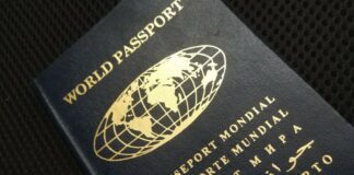 Может ли паспорт гражданина мира стать альтернативой для украинских мужчин за границей  - today.ua