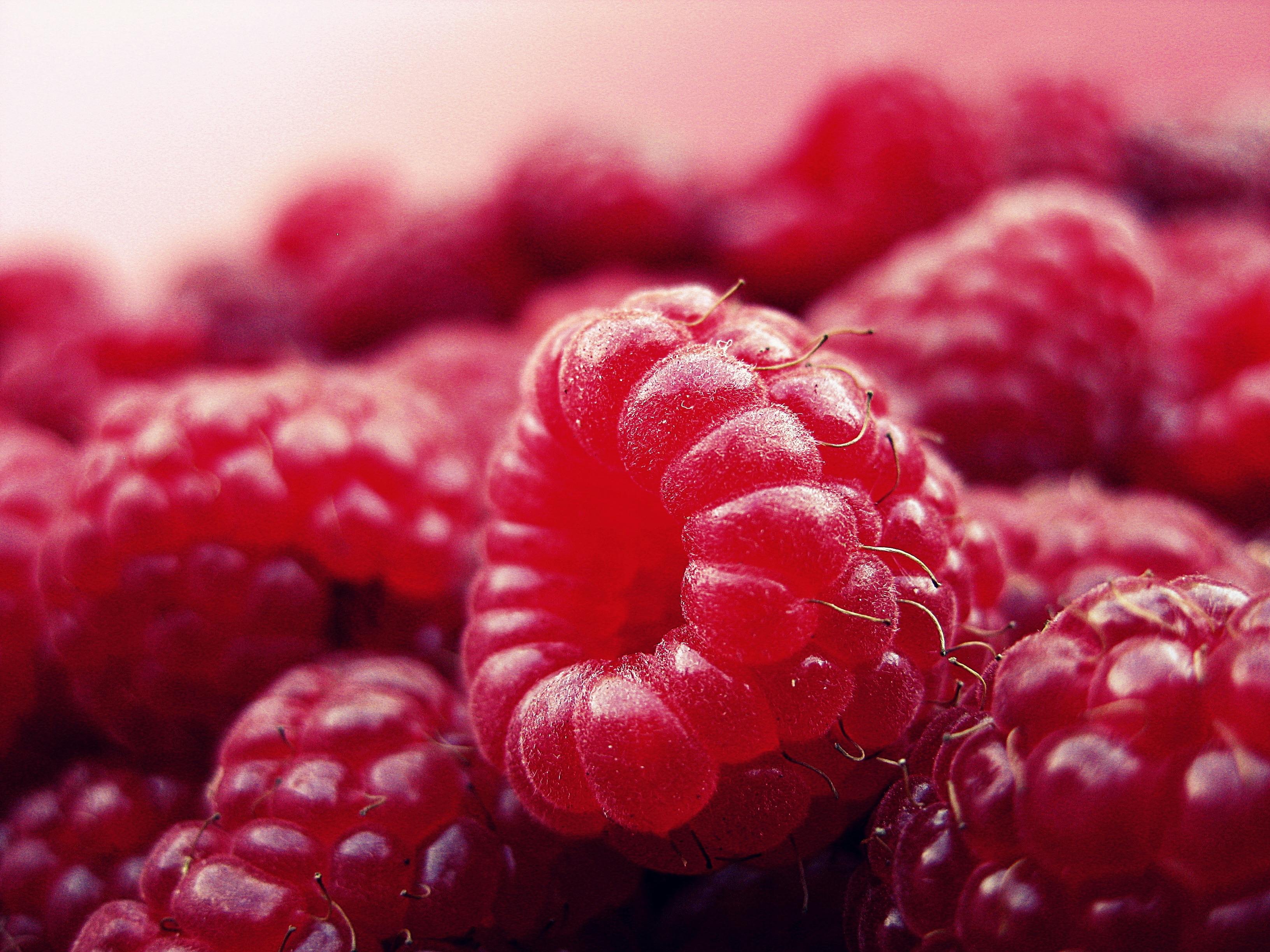 Диетологи назвали самые полезные для здоровья человека ягоды