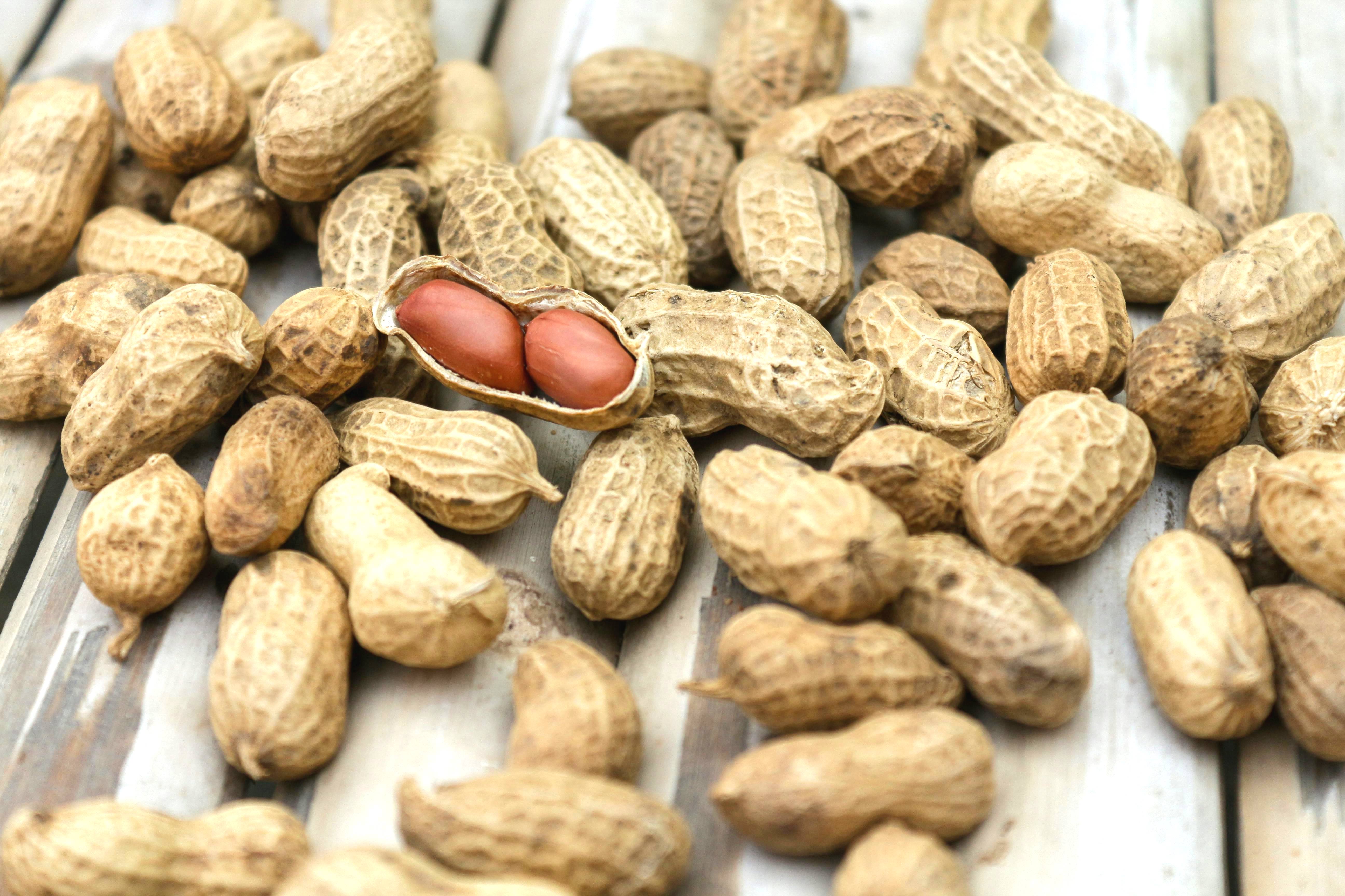 Медики розповіли, які види горіхів найкорисніші для здоров'я