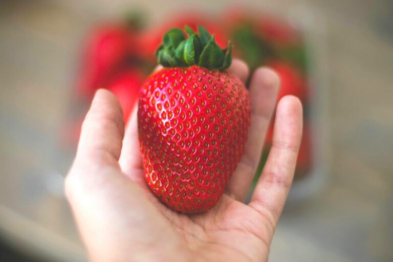 Чем удобрить клубнику, чтобы вырастить крупные и сладкие ягоды - today.ua