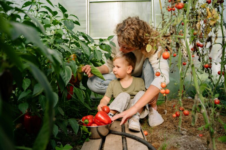 Натуральне добриво для перцю та помідор, яке допоможе виростити багатий урожай - today.ua