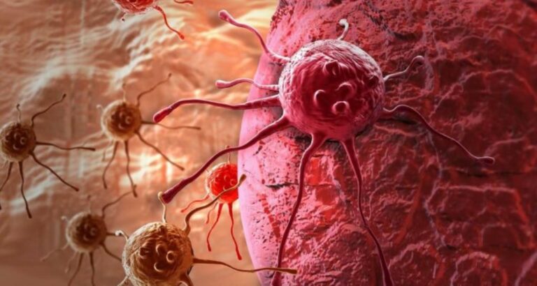 Альтернатива хіміотерапії: вчені знайшли можливість вбивати ракові клітини без шкоди для здорових - today.ua