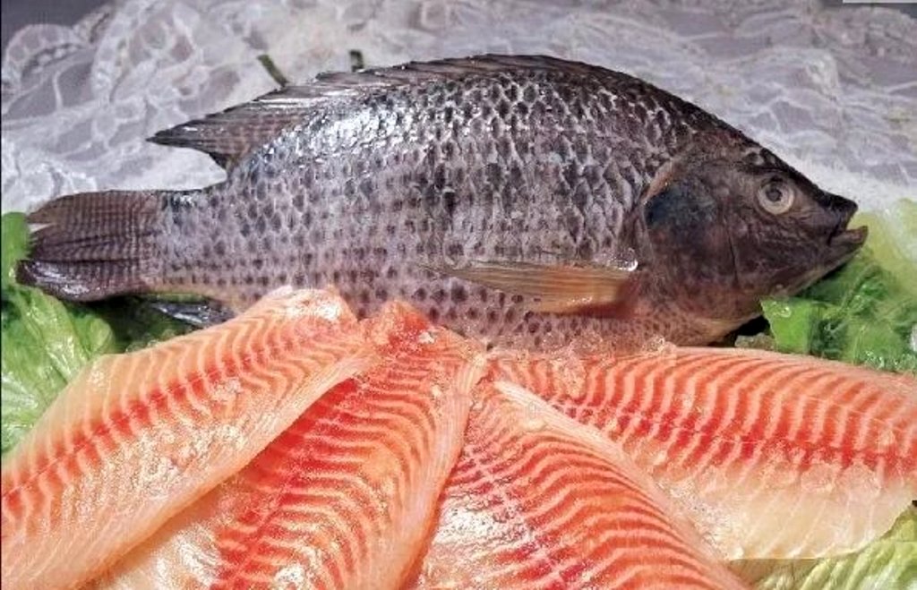Названо найбруднішу рибу у світі, яку слід виключити з раціону 