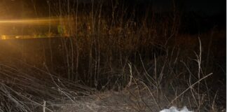 Страшная находка в Киеве: на пустыре обнаружили останки 20 человек (Фото) - today.ua