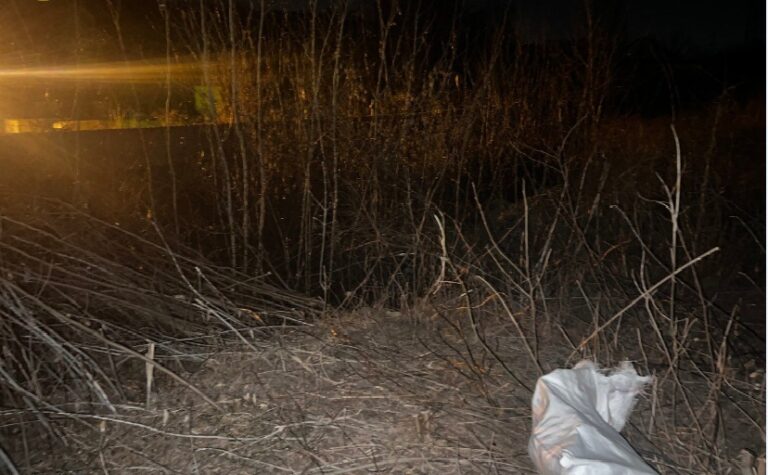 Страшна знахідка у Києві: на пустирі виявили останки 20 людей (Фото) - today.ua