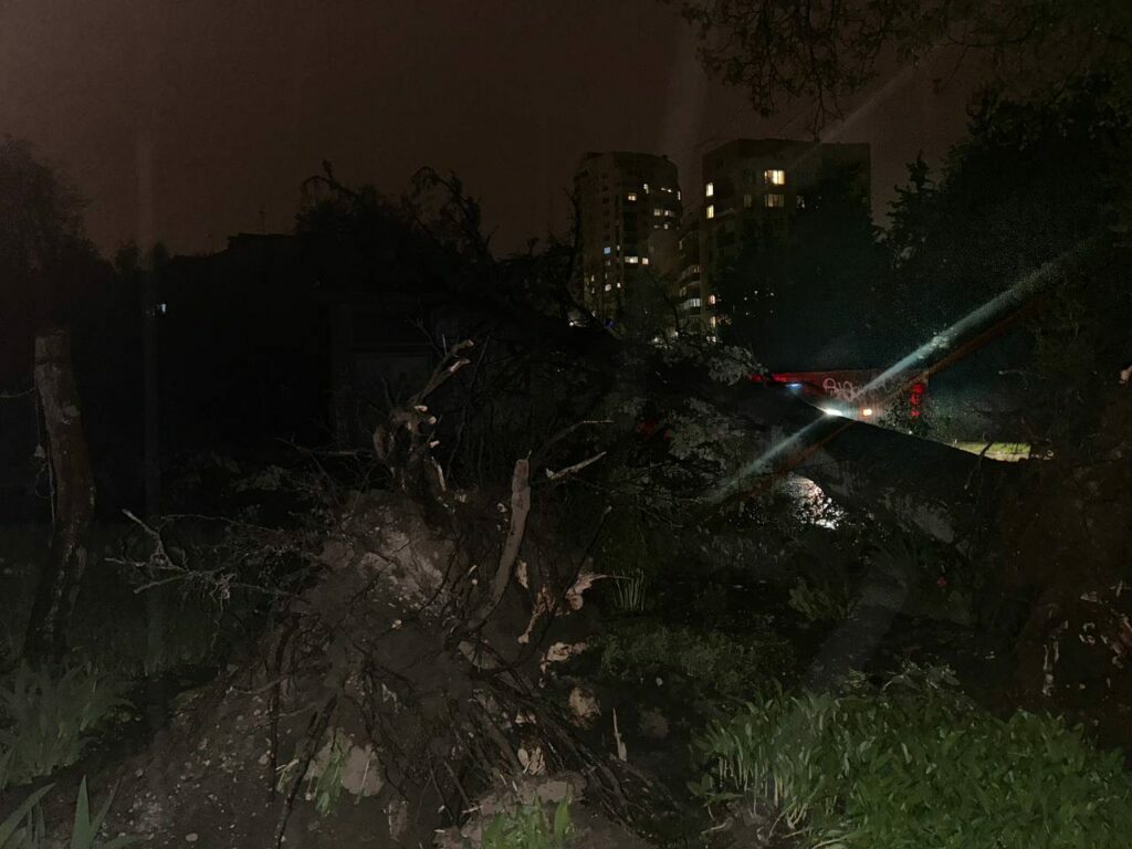 Погодний апокаліпсис у Запоріжжі: вітер трощить дерева, зриває дахи та рве дроти (фото, відео)