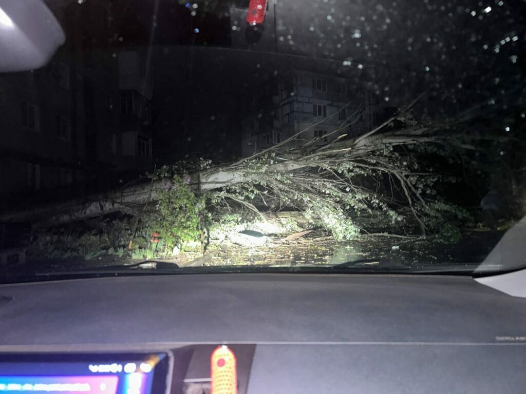 Погодний апокаліпсис у Запоріжжі: вітер трощить дерева, зриває дахи та рве дроти (фото, відео)