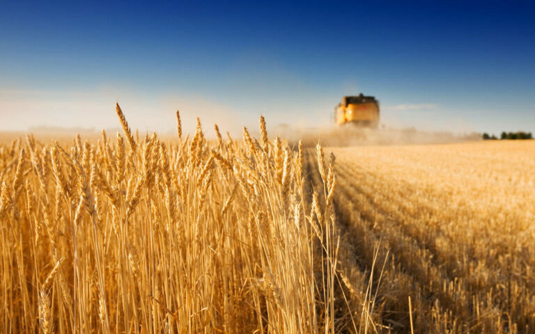 Украине придется принести в жертву свой аграрный сектор в обмен на членство в ЕС, - Politico - today.ua
