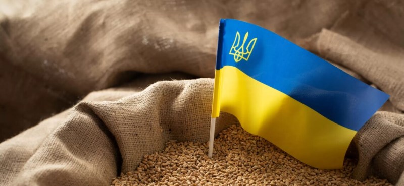 “Ніж у спину“: Євросоюз обмежить імпорт українських сільгосптоварів