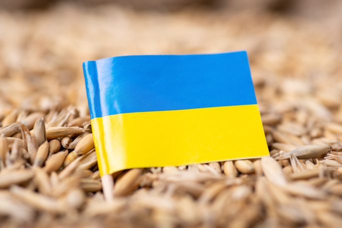 У Польщі бракують українські продукти великими партіями та повертають їх назад