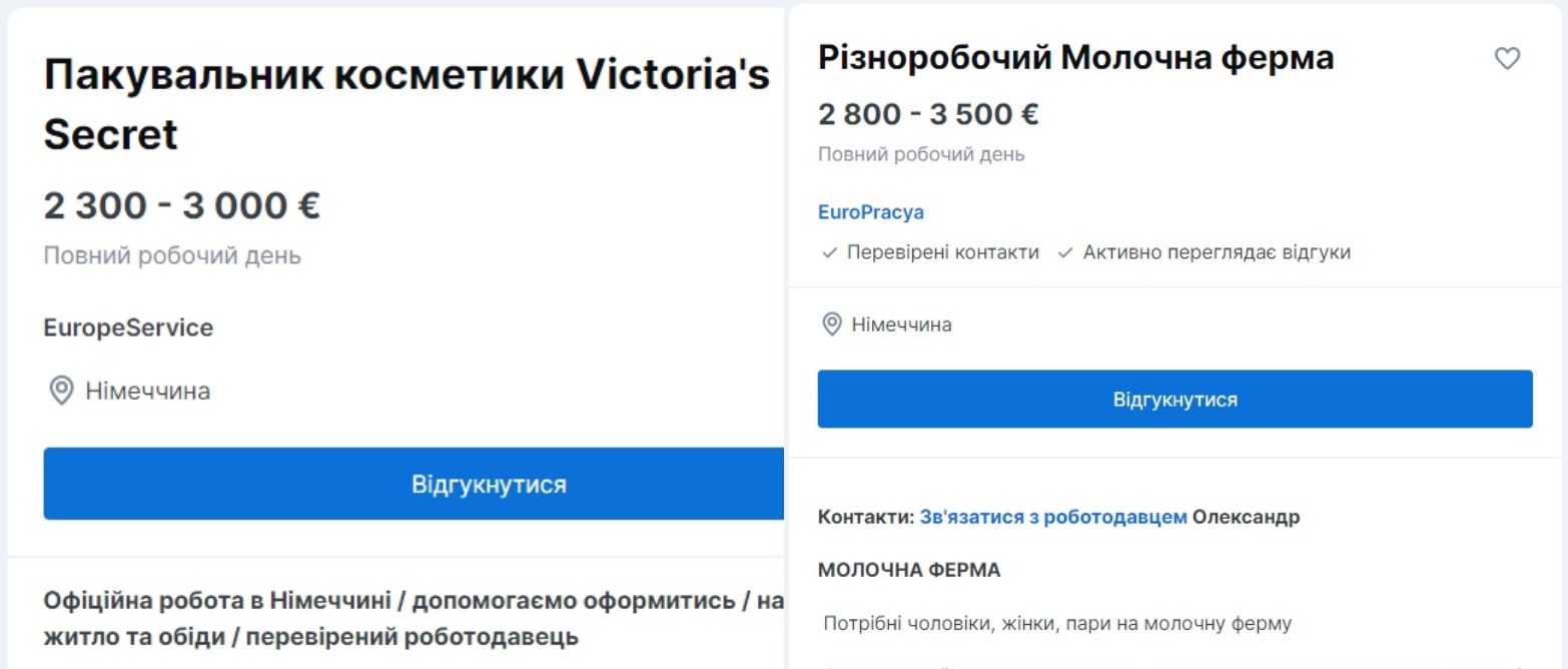 Упаковщик чая, печенья и разнорабочий: в Германии украинцам предложили зарплату до 3750 евро