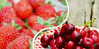 В Украине начался ягодный сезон: названы цены на черешню и клубнику  - today.ua