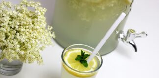 Шампанское из бузины: рецепт легкого летнего напитка с цветочным вкусом - today.ua