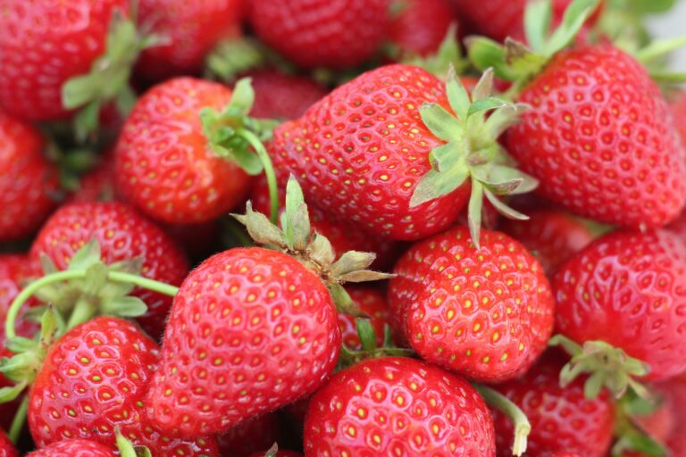 Як збільшити урожай полуниці без хімії: секрети вирощування солодкої ягоди - today.ua
